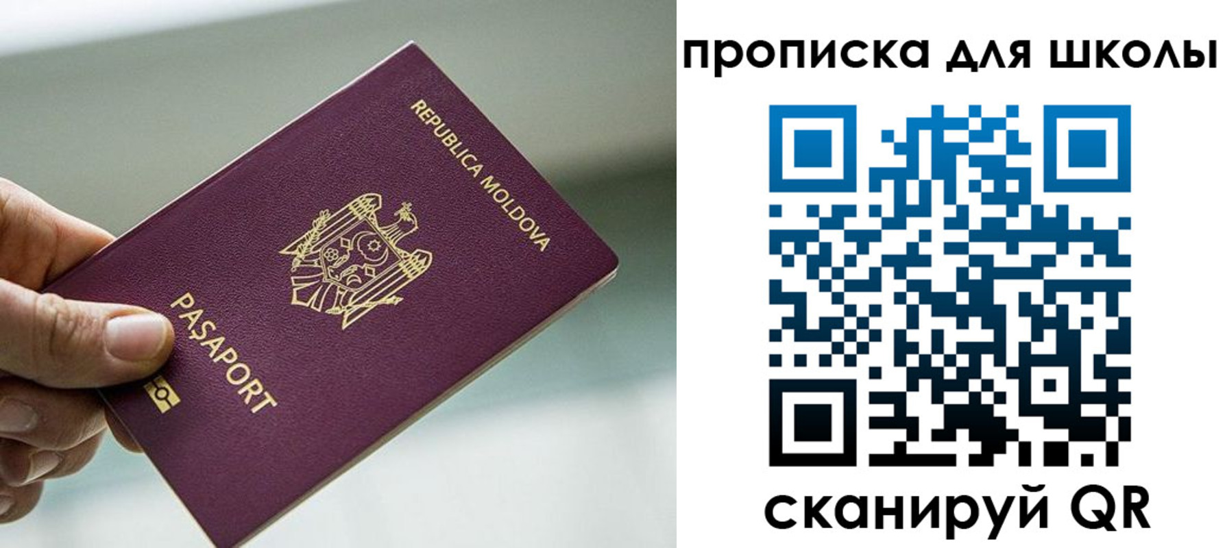прописка в квартире в Бикине
